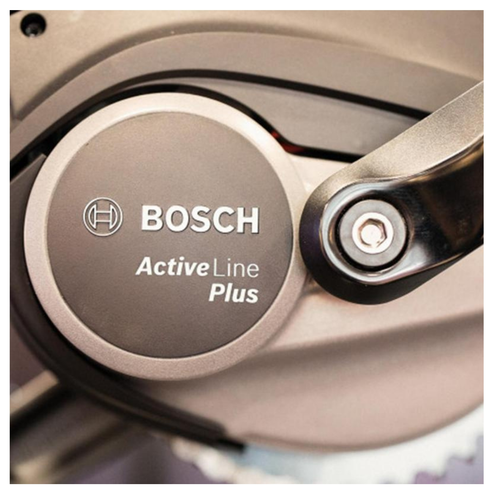 Solex Infinity 11 Solex Infinity -Promos Vtt Électrique Boutique 5